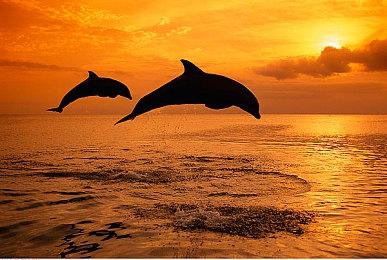 二战背景RTS游戏《战争之人2》正式推出 Steam评价褒贬不一