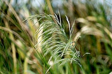 用Switch帮你练出倒三角 《俯卧撑锻炼》现已上市