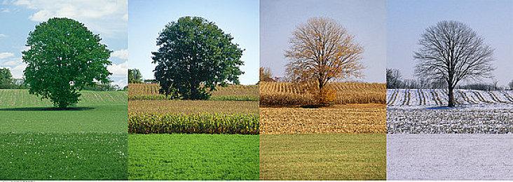 《暗黑4：憎恨之躯》中文官网上线 全新职业、全新地区、更多剧情